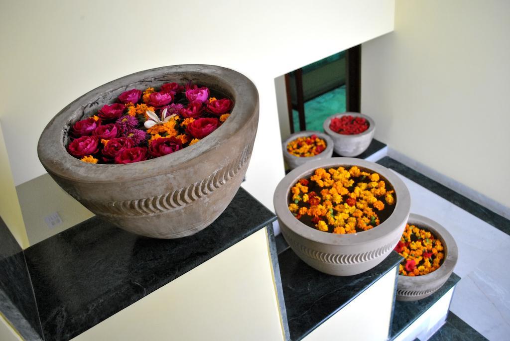 Greenwood Hotel Khajuraho Bagian luar foto
