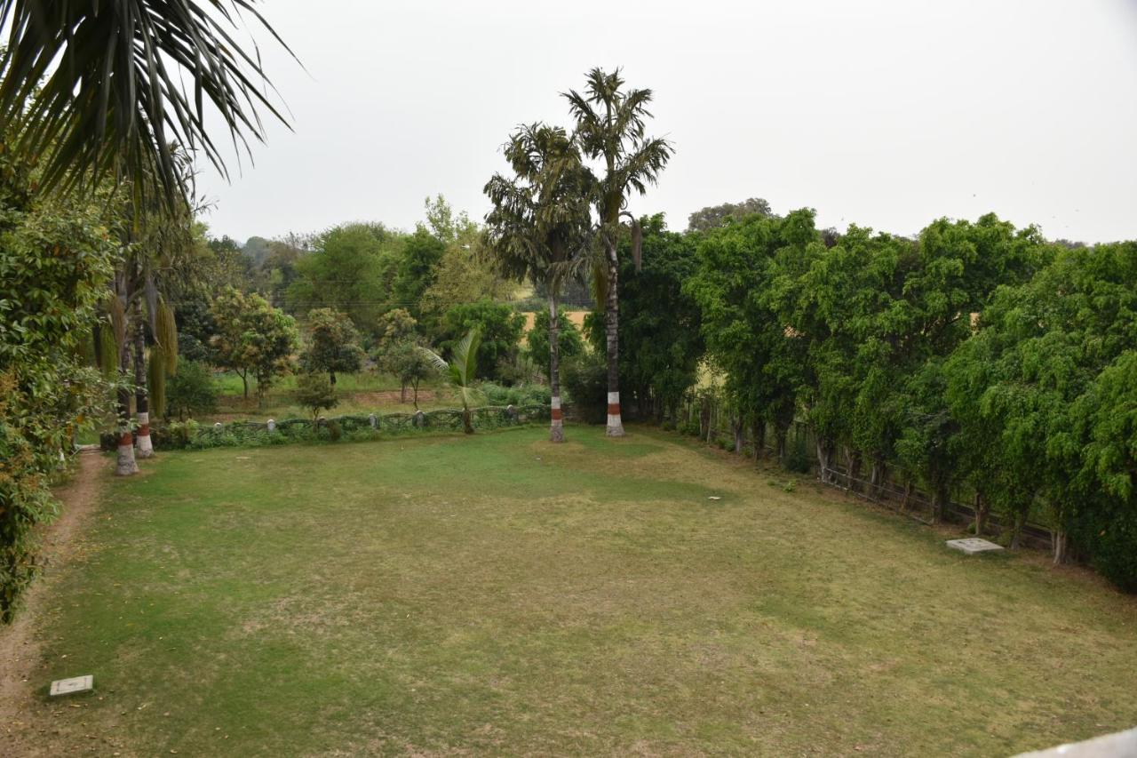 Greenwood Hotel Khajuraho Bagian luar foto